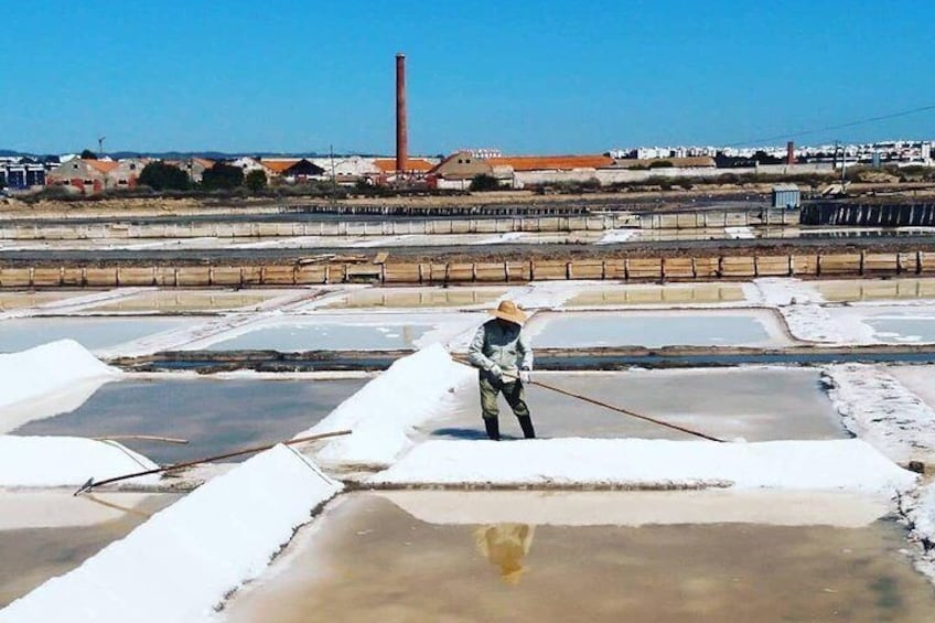 Salt harvesting process. Tapas Tour in the city of Tavira. Tuk Tuk ride.
Maria's Tuk Tuk.