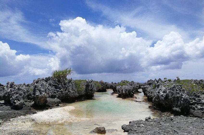 Reef Island - Rangiroa