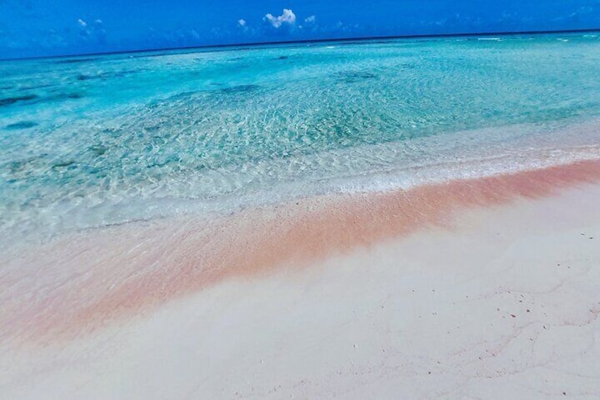 Reef Island - Rangiroa