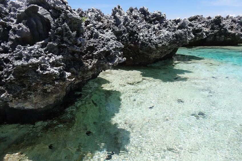Reef Island - Rangiroa