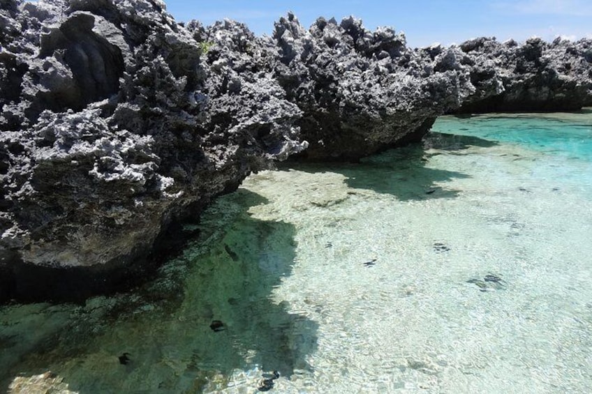 Reef Island - Rangiroa