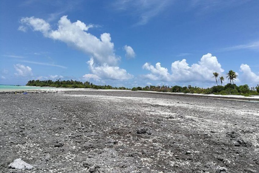 Reef Island - Rangiroa