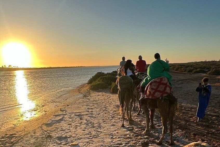 Camel Ride in Agadir at Sunset with Barbecue & Couscous