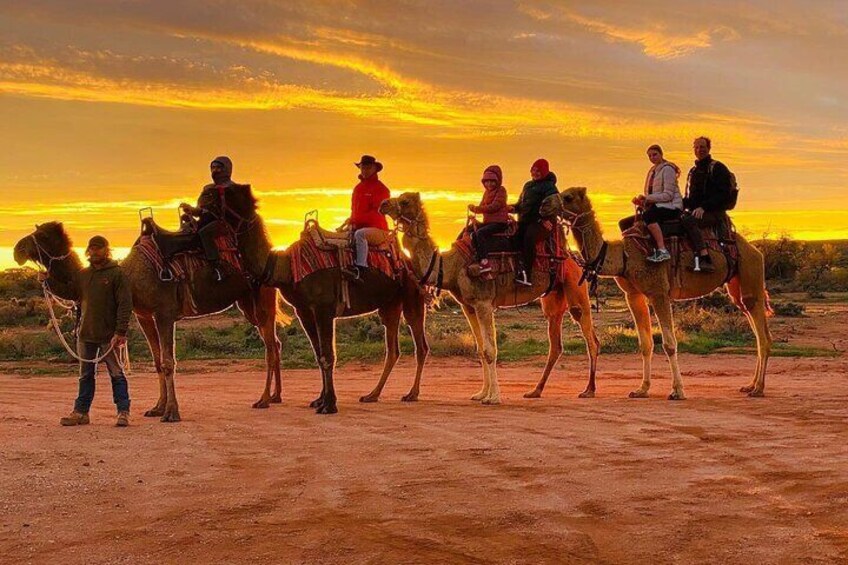 Camel Ride in Agadir at Sunset with Barbecue & Couscous