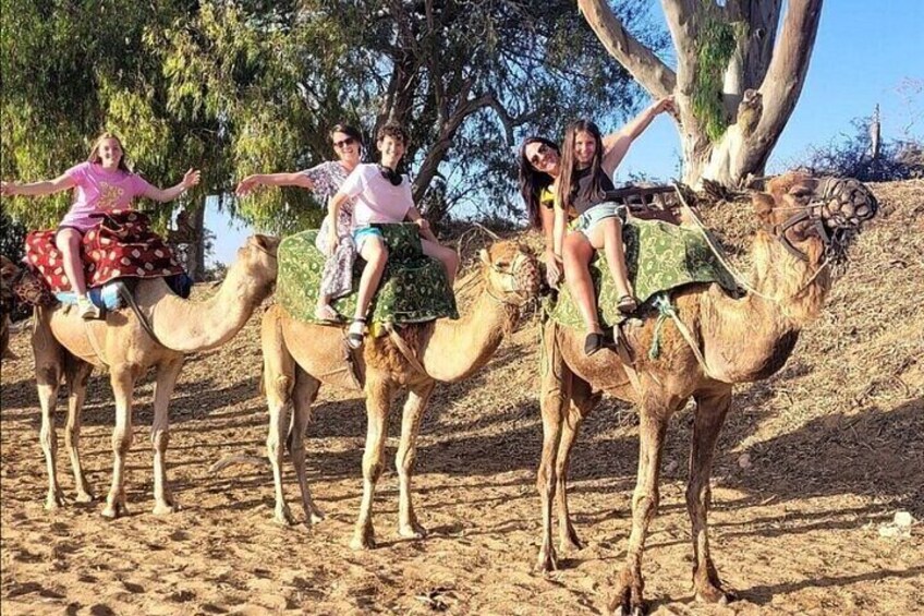 Camel Ride in Agadir at Sunset with Barbecue & Couscous