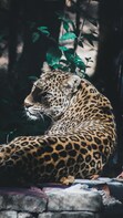 Rajaji National Park From Delhi