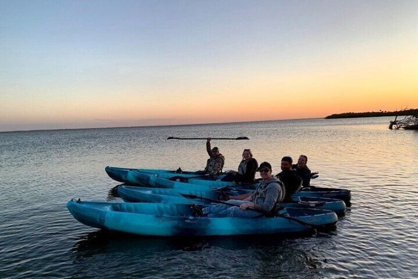 Wildlife Refuge Dolphin, Manatee & Mangrove Kayak or Paddleboarding Tour!