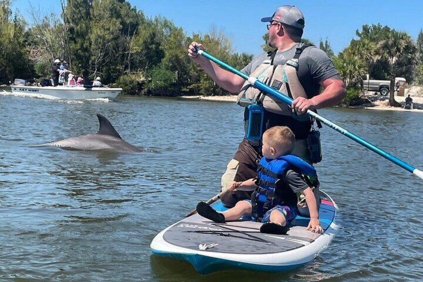 Wildlife Refuge Dolphin, Manatee & Mangrove Kayak or Paddleboarding Tour!