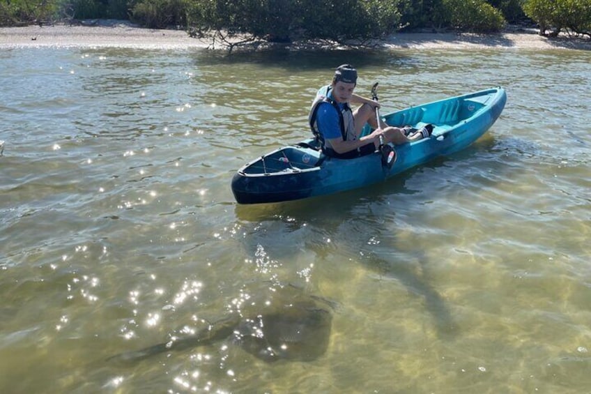 Wildlife Refuge Dolphin, Manatee & Mangrove Kayak or Paddleboarding Tour!