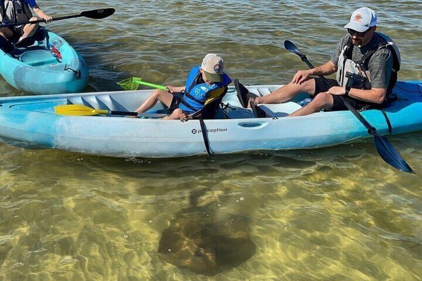 Wildlife Refuge Dolphin, Manatee & Mangrove Kayak or Paddleboarding Tour!