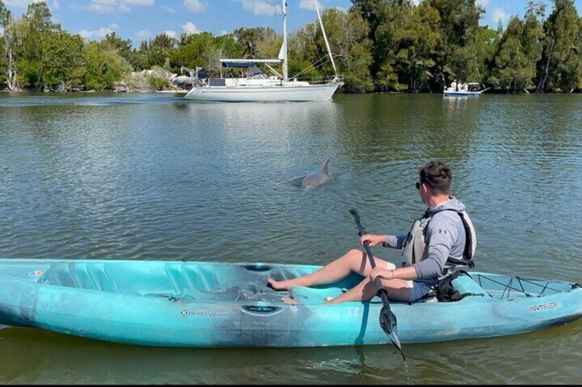 Wildlife Refuge Dolphin, Manatee & Mangrove Kayak or Paddleboarding Tour!