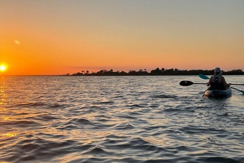 Wildlife Refuge Dolphin, Manatee & Mangrove Kayak or Paddleboarding Tour!