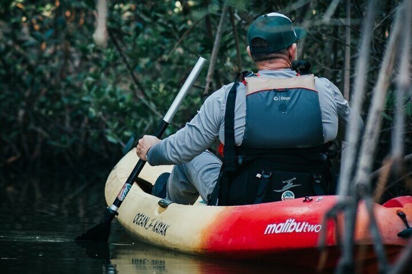 Thousand Islands Mangrove Tunnel Kayak Tour with Cocoa Kayaking!