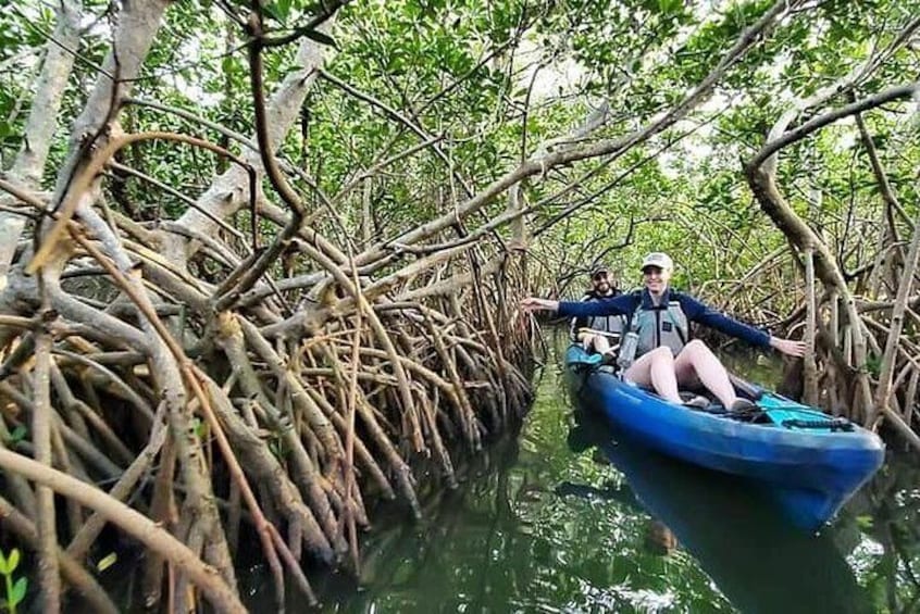 Thousand Islands Mangrove Tunnel Kayak Tour with Cocoa Kayaking!