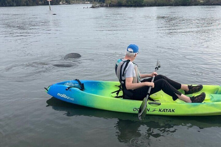 Wildlife Refuge Bio Comb Jelly Sunset Kayak or Paddleboard Tour!