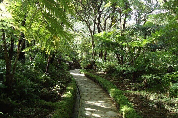 Day tour to Nuwaraeliya from Kandy