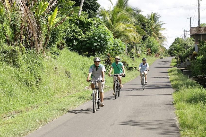 Cycling Tour with Balinese Buffet Lunch