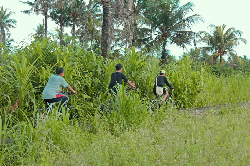 Cycling Tour with Balinese Buffet Lunch