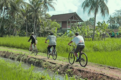 騎自行車遊覽觀看巴厘島傳統烹飪示範