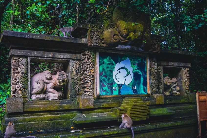 Pura Taman Ayun Temple, Monkey Forest & Tanah Lot Excursion