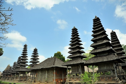 Excursie naar de Pura Taman Ayun-tempel, het Apenbos en Tanah Lot