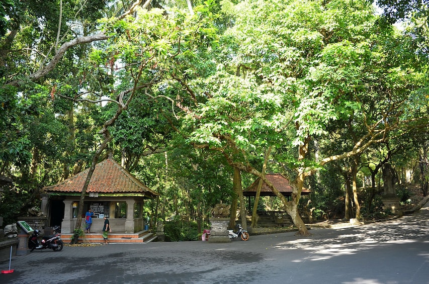 Pura Taman Ayun Temple, Monkey Forest & Tanah Lot Excursion