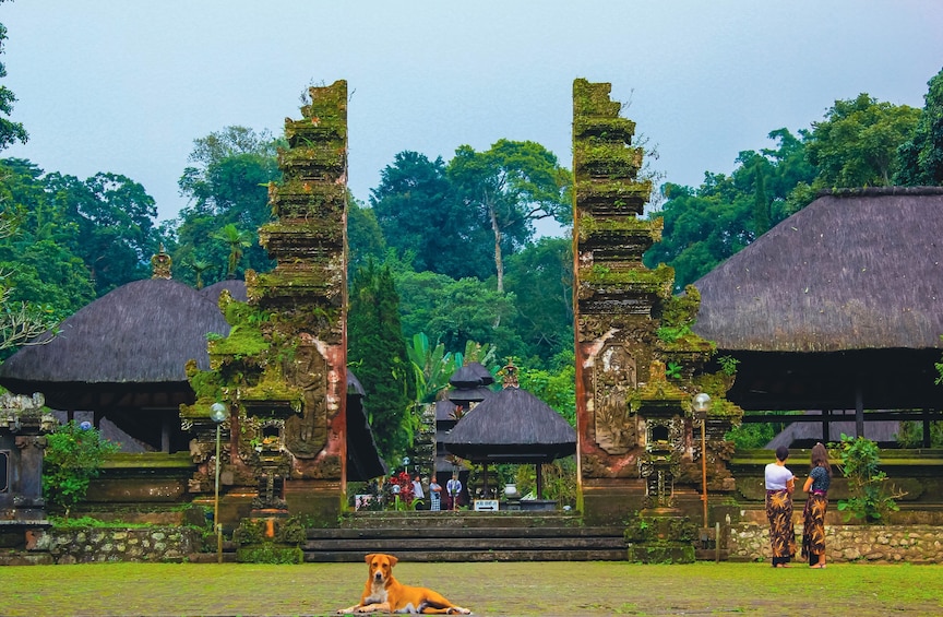 Full Day Bedugul and Singaraja Tour