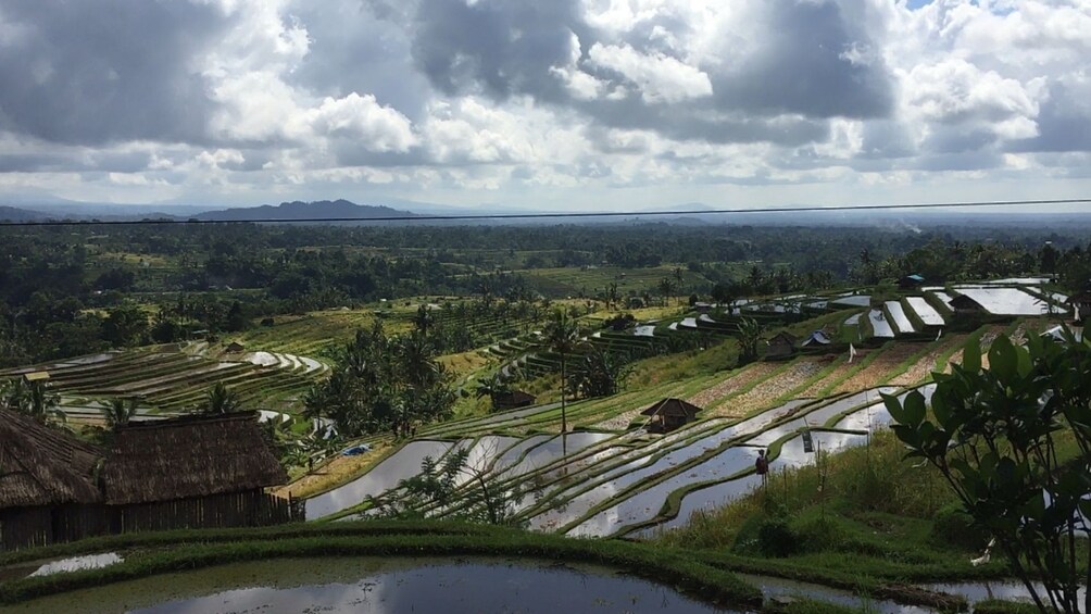 Jatiluwih Batukaru Mountain Nature's Best Tour