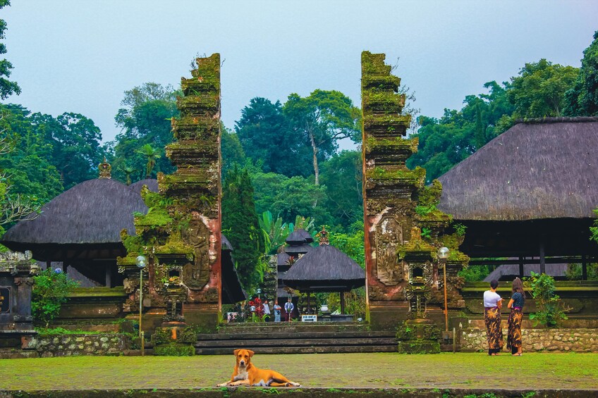 Jatiluwih Batukaru Mountain Nature's Best Tour