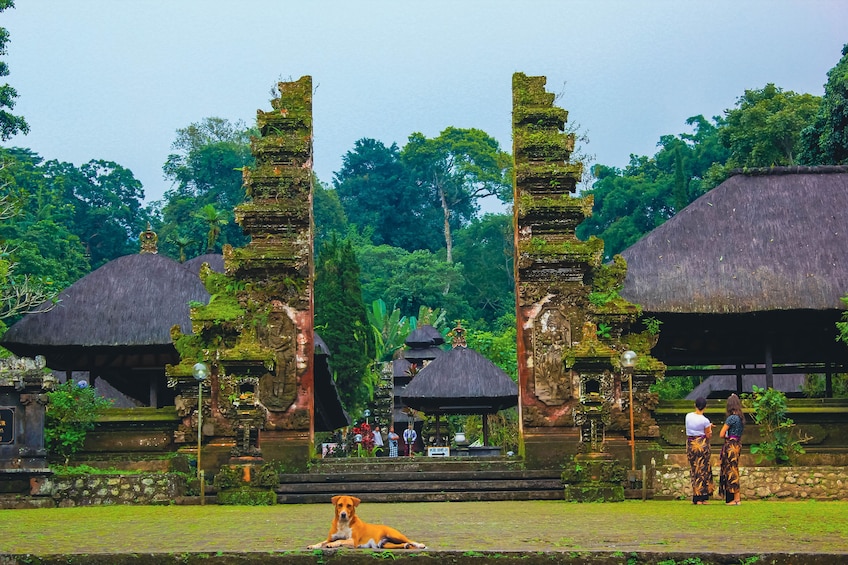 Jatiluwih Batukaru Mountain Nature's Best Tour