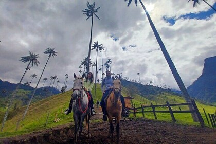 Horse Riding Cocora Valley