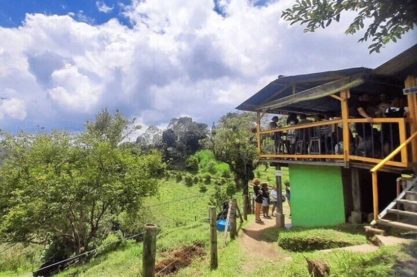 Horseback riding coffee farms, forest and river boquerón