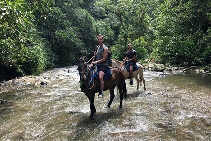 Horse Riding Cocora Valley