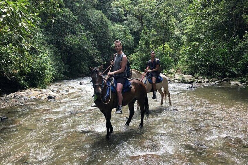 Horseback riding coffee farms, forest and river boquerón