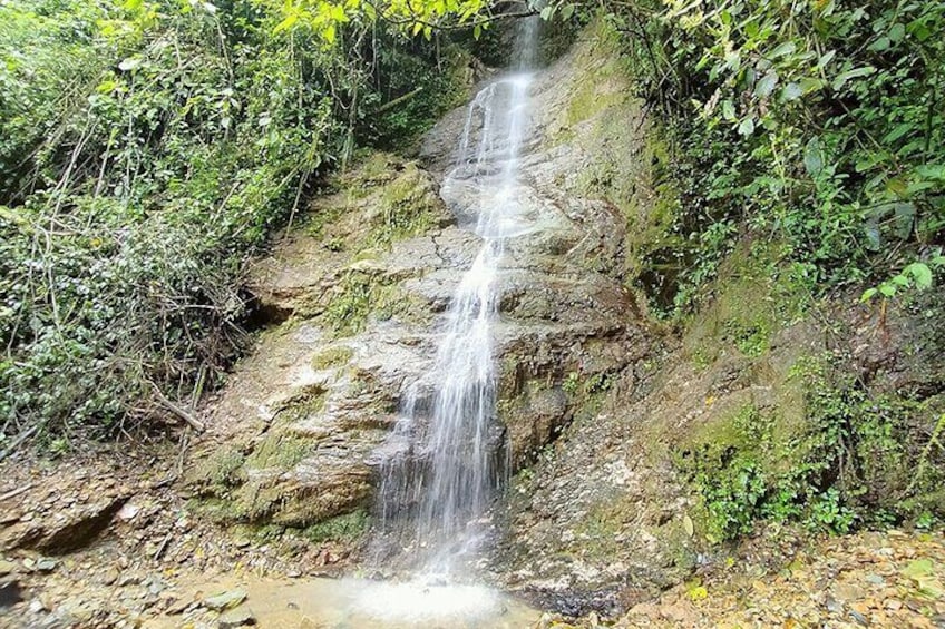 Horseback riding to the viewpoints and the Sestillal waterfall in Salento