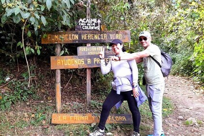 tour cocora valley and the great waterfall