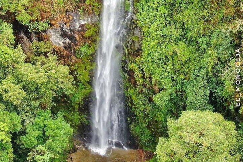 Tour great waterfall cocora valley