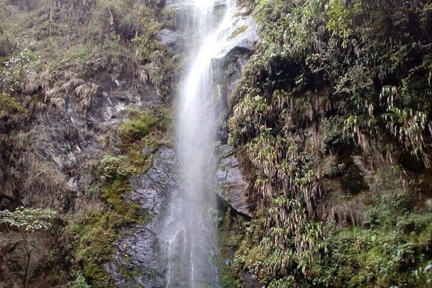 Tour great waterfall cocora valley