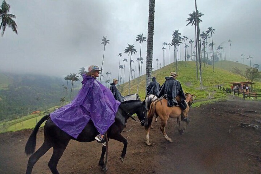 complete horseback riding valle del cocora