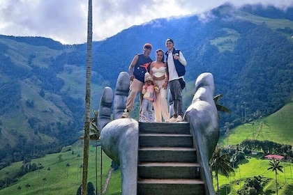 Cabalgata mirador uno y rio Valle del Cocora