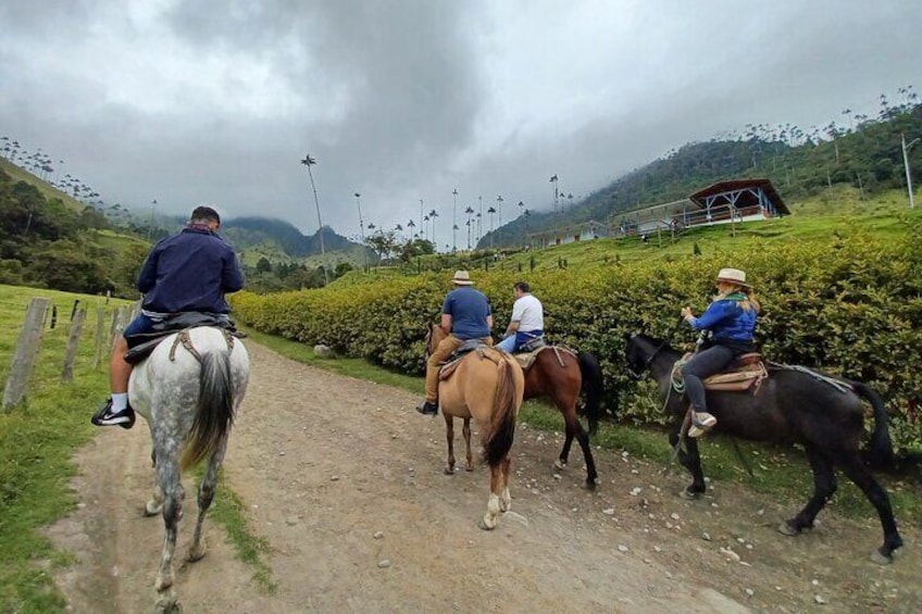 complete horseback riding valle del cocora