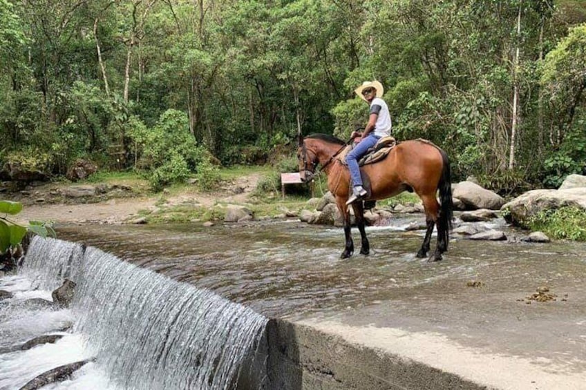 complete horseback riding valle del cocora