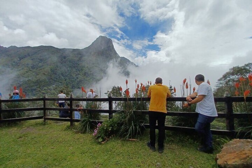 Cocora valley tour hummingbird circuit