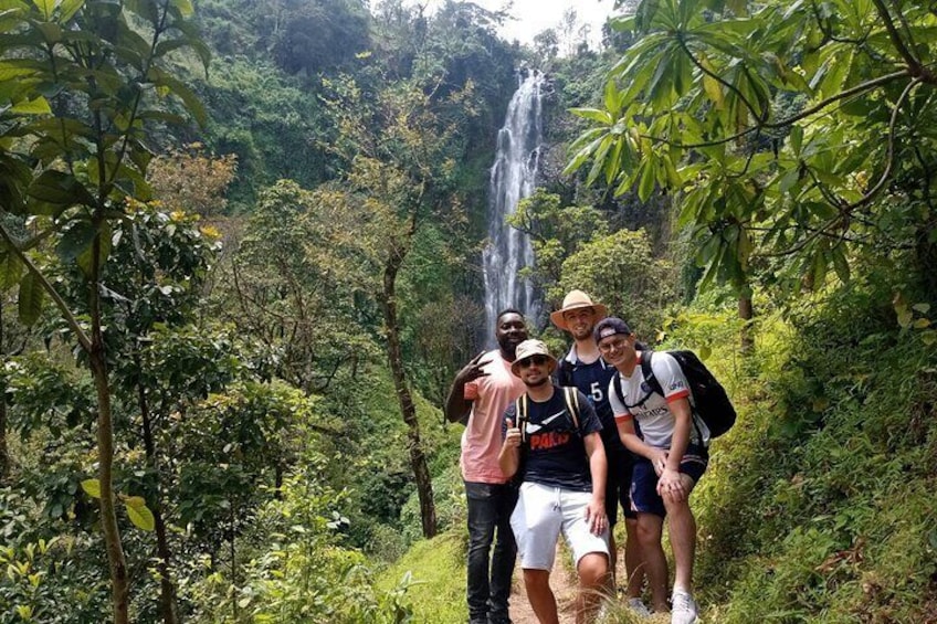 Private Tour to Materuni waterfalls, coffee tour & Kikuletwa hot- springs