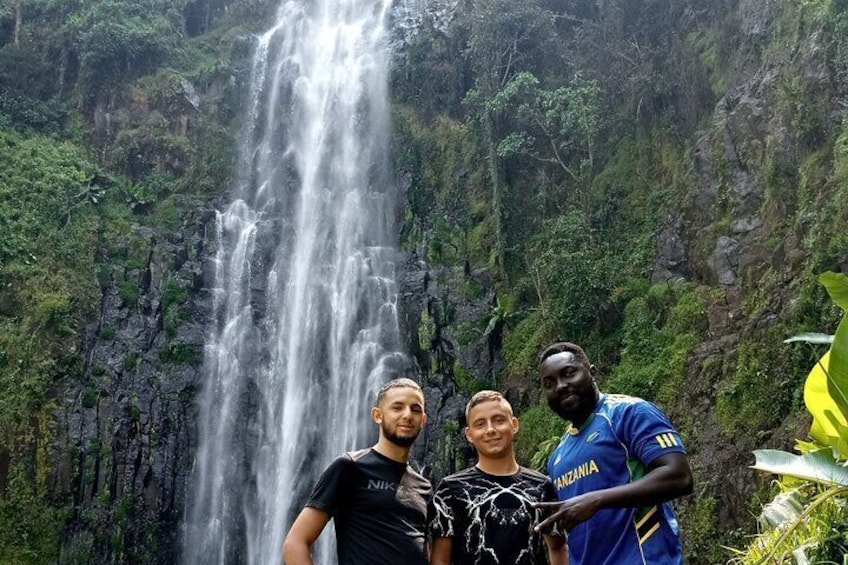 Private Tour to Materuni waterfalls, coffee tour & Kikuletwa hot- springs