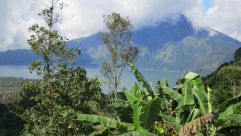 Highlights of Bali Full-Day Tour