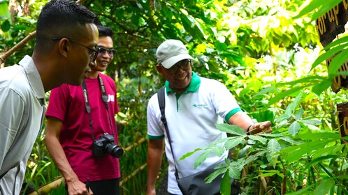 Lo más destacado del recorrido por Bali