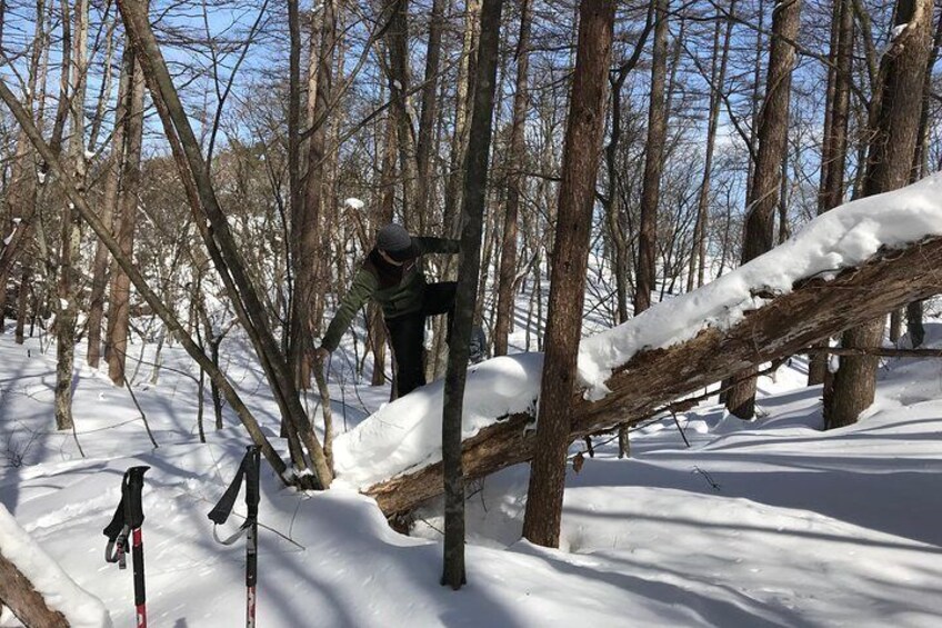 [5 minutes from Minakami Inter] Snow walking half-day tour enjoyed by the family