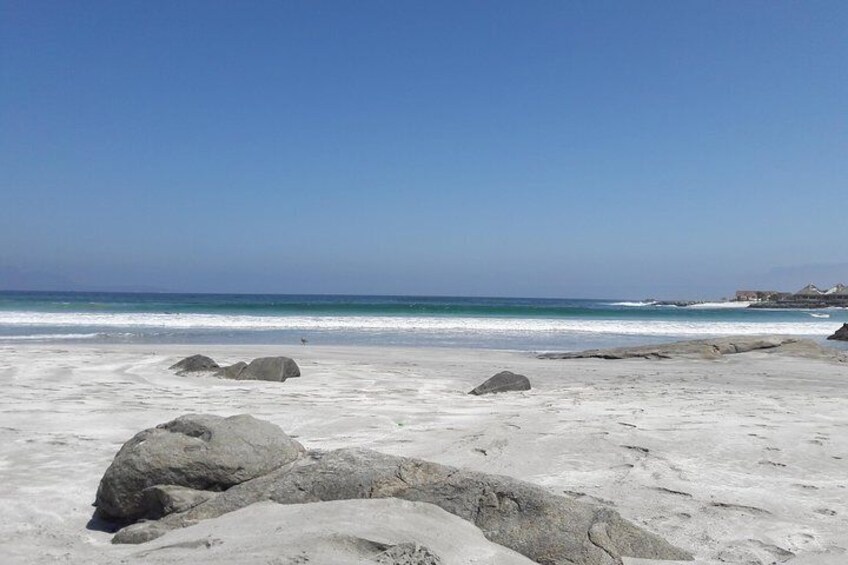 Coastal Circuit: Come to know Totoralillo - Guanaqueros - Tongoy