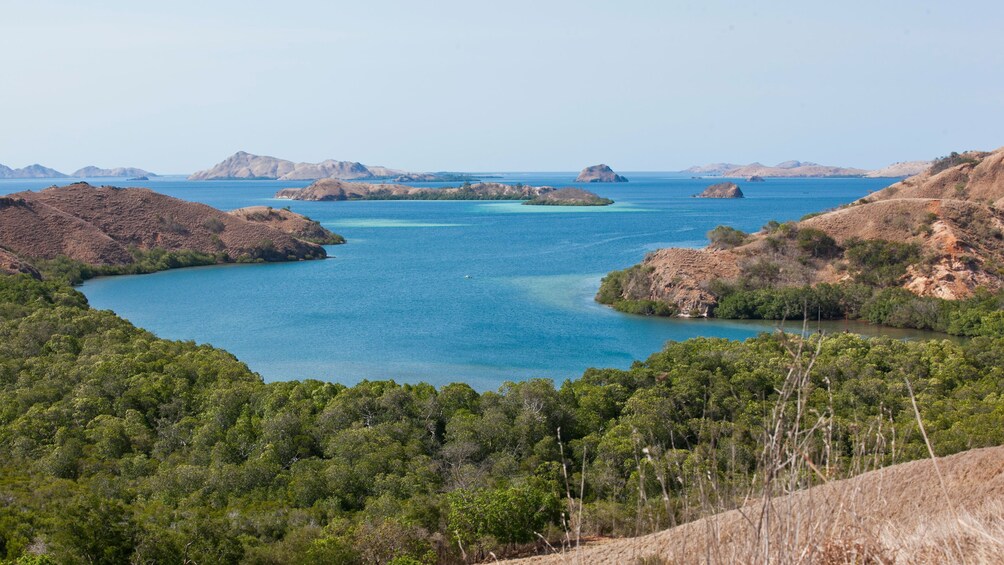 2-Day Komodo & Rinca Islands Adventure